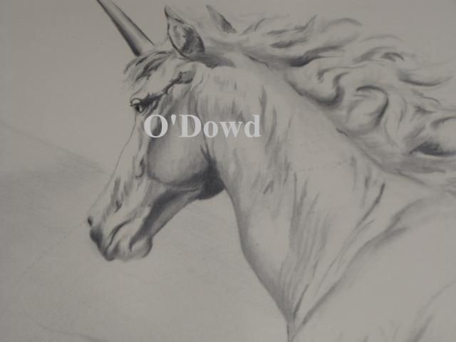 Drawings and Sketches