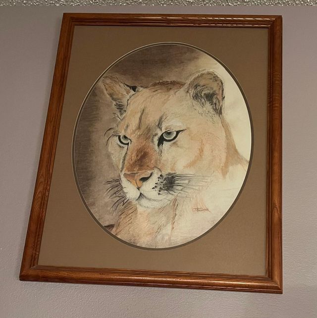 Drawings and Sketches