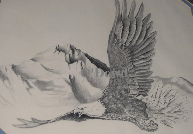 Drawings and Sketches