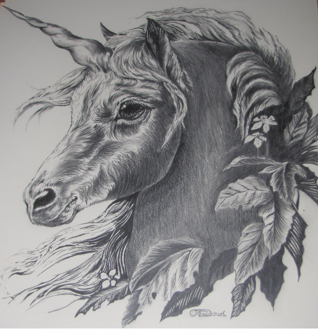 Limited Edition Prints