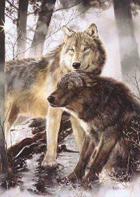 Limited Edition Prints