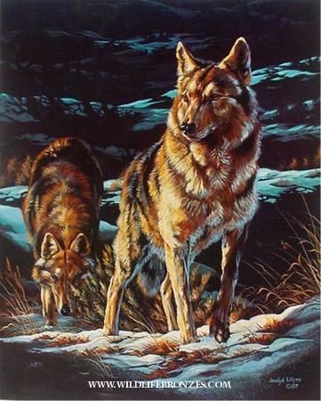 Limited Edition Prints