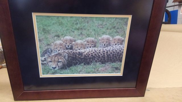 Custom Matting and Framing