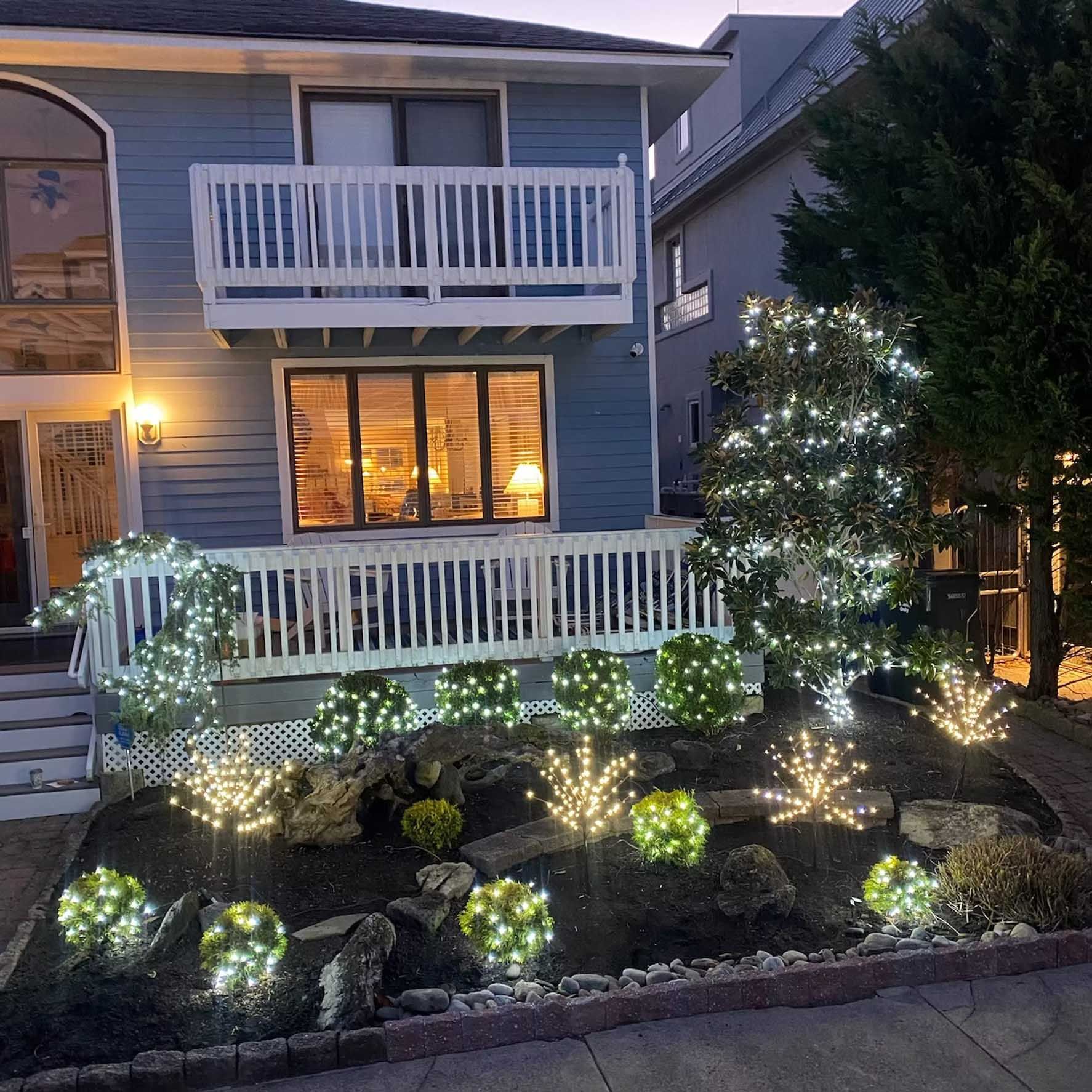 Blue house with Christmas lights in bushes and trees, nighttime.