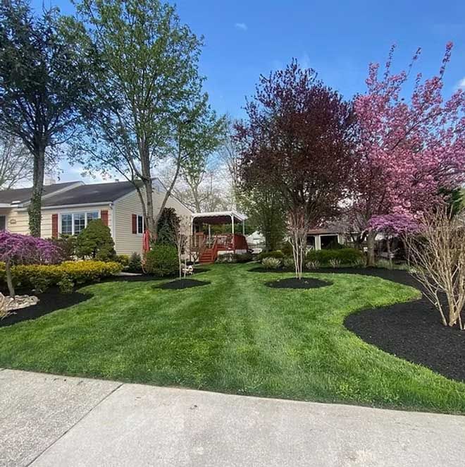 Well-manicured suburban yard with green grass, trees, and black mulch beds.