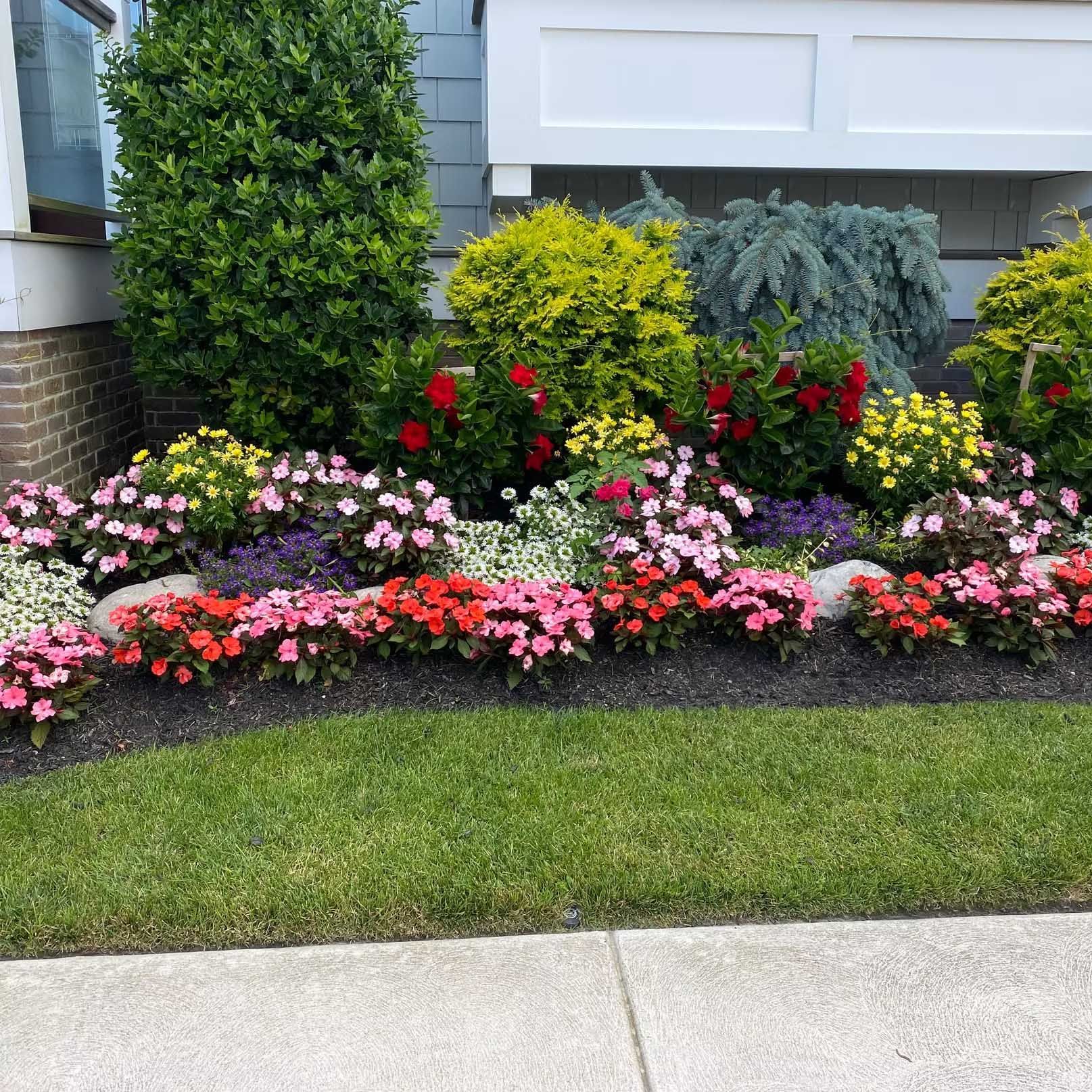 Colorful flower bed with various blooms in front of a house, bordered by green grass and a sidewalk.