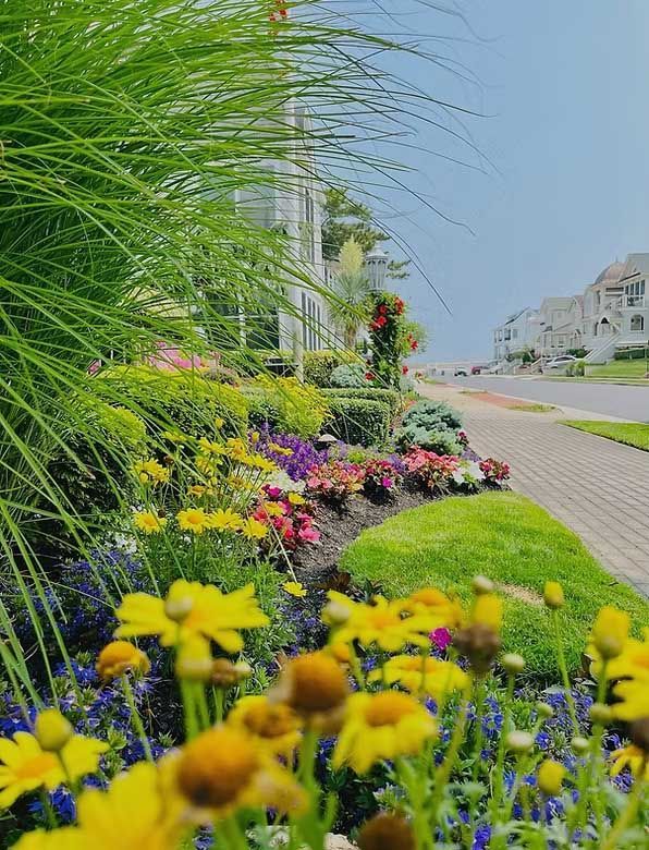 A colorful flower bed with yellow and purple flowers next to a sidewalk and green grass.