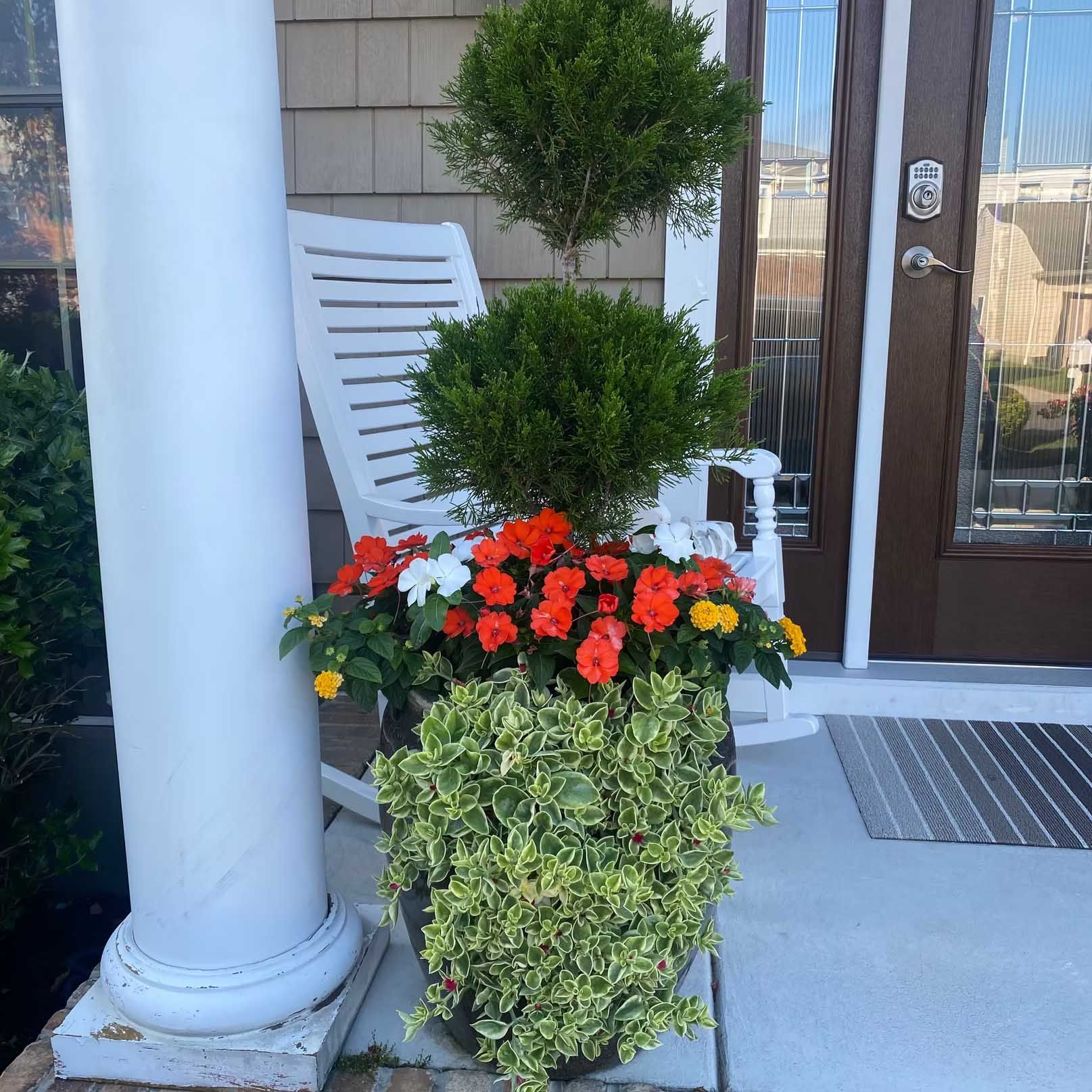 Planter with topiary, colorful flowers, and variegated foliage by a white column and front door.
