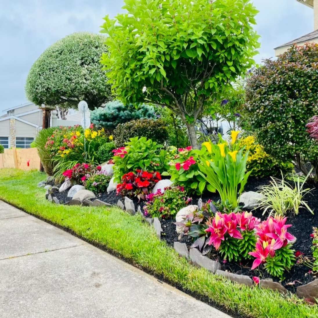 Colorful flower bed along a sidewalk, with green trees and bushes, and a building in the background.