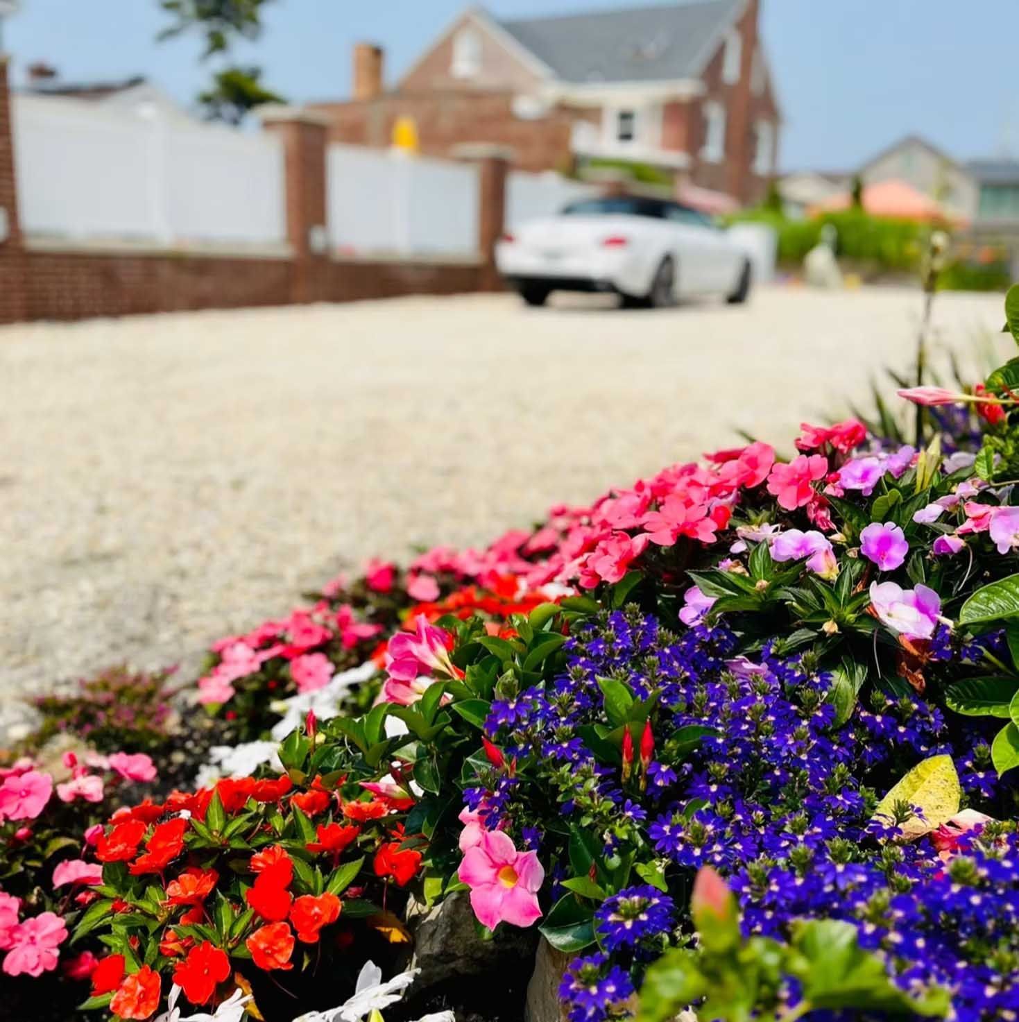 Colorful flowers in foreground, white car and house blurred in background.