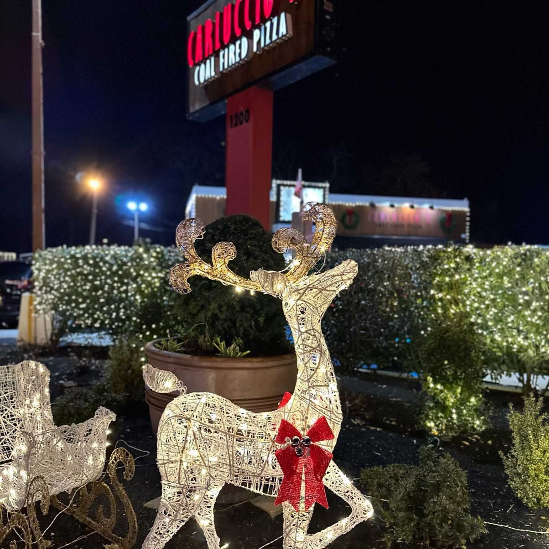 Lit-up reindeer and sleigh outside a 