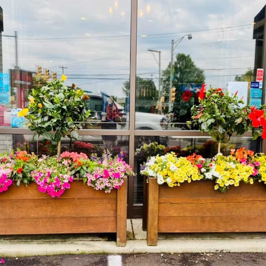 Wooden planters overflowing with colorful flowers outside a building with glass doors; reflection of street.