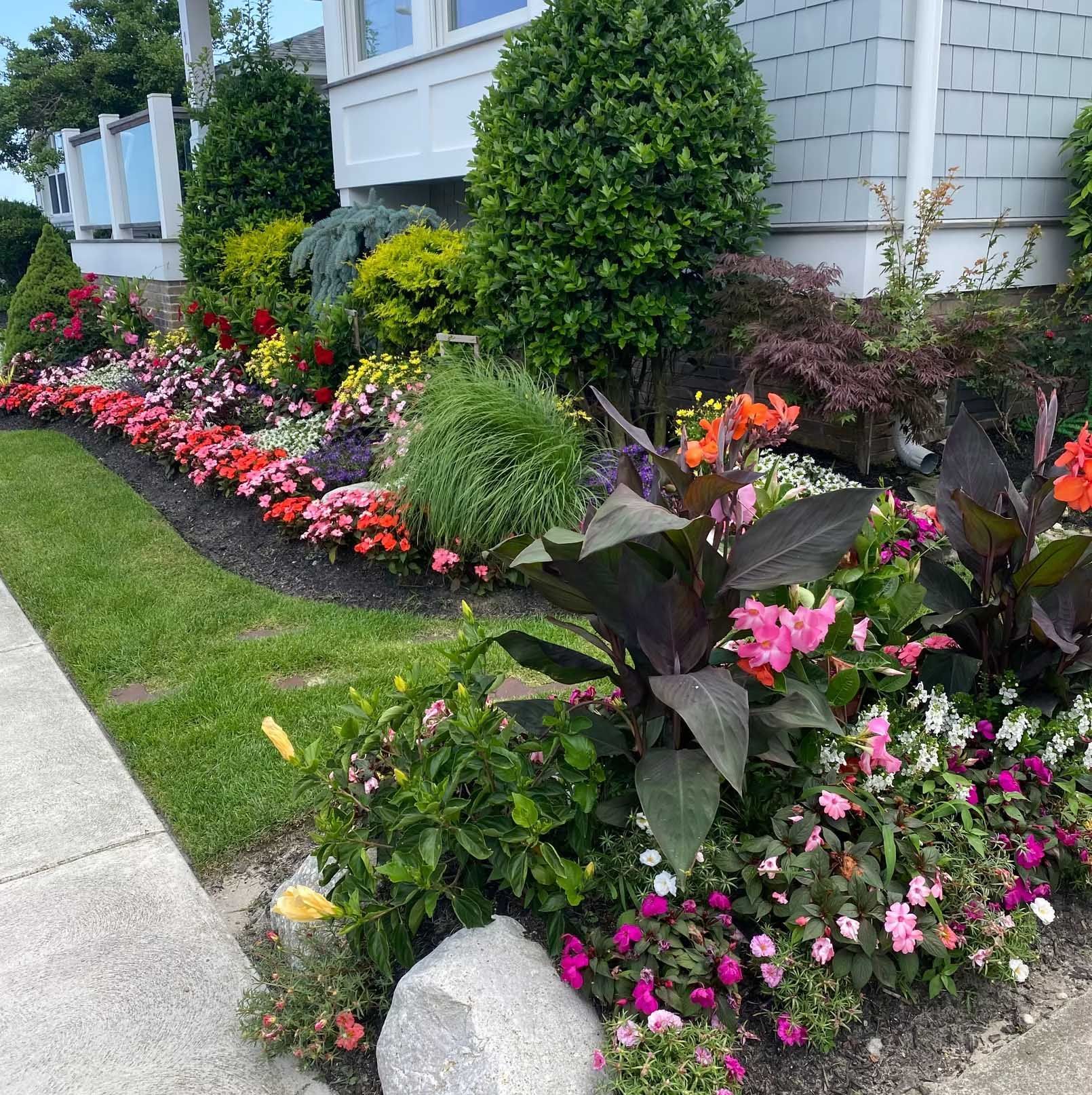 Colorful flower bed along a house with a variety of flowers in bloom, some with dark foliage.