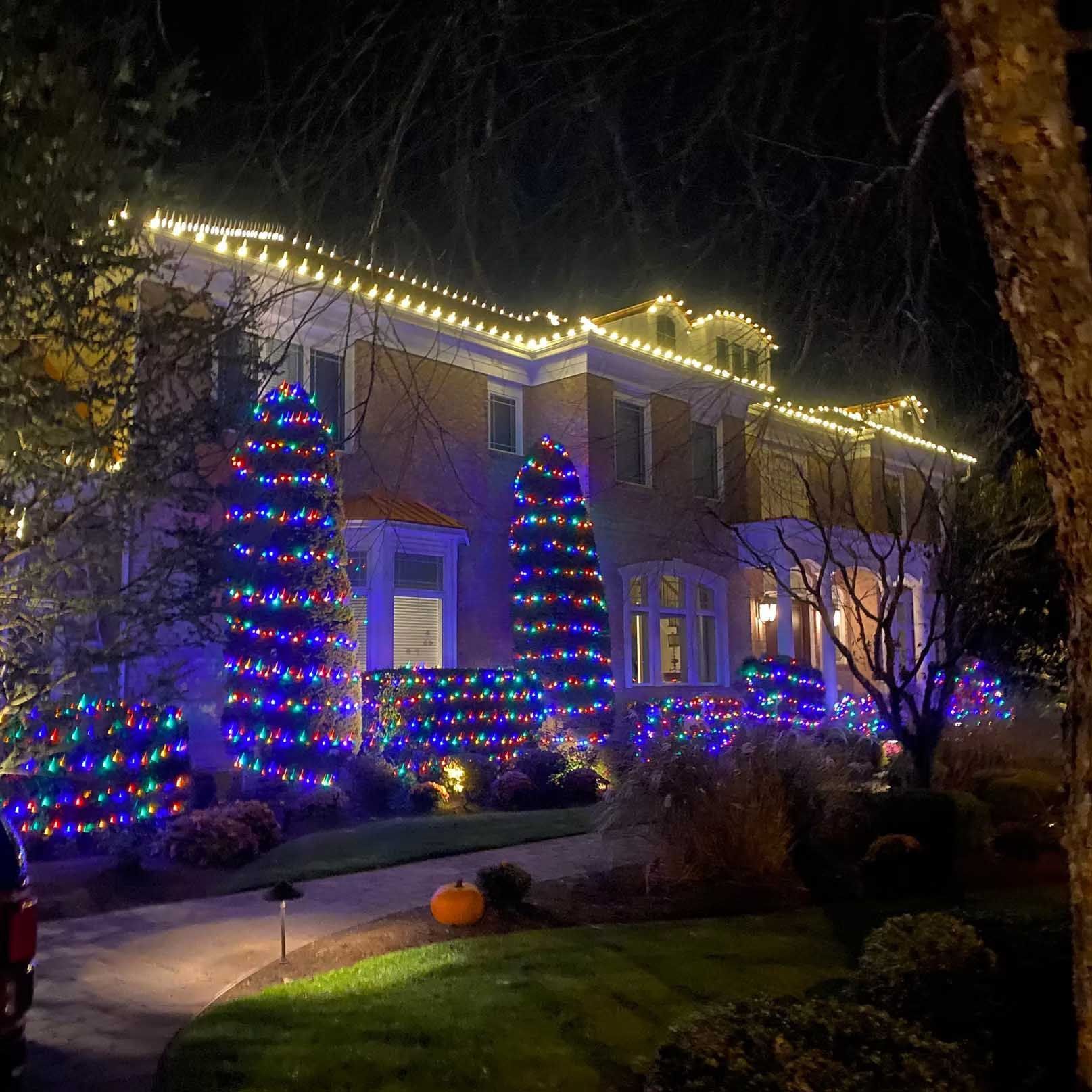 House decorated with Christmas lights at night; trees and bushes wrapped in colorful lights.