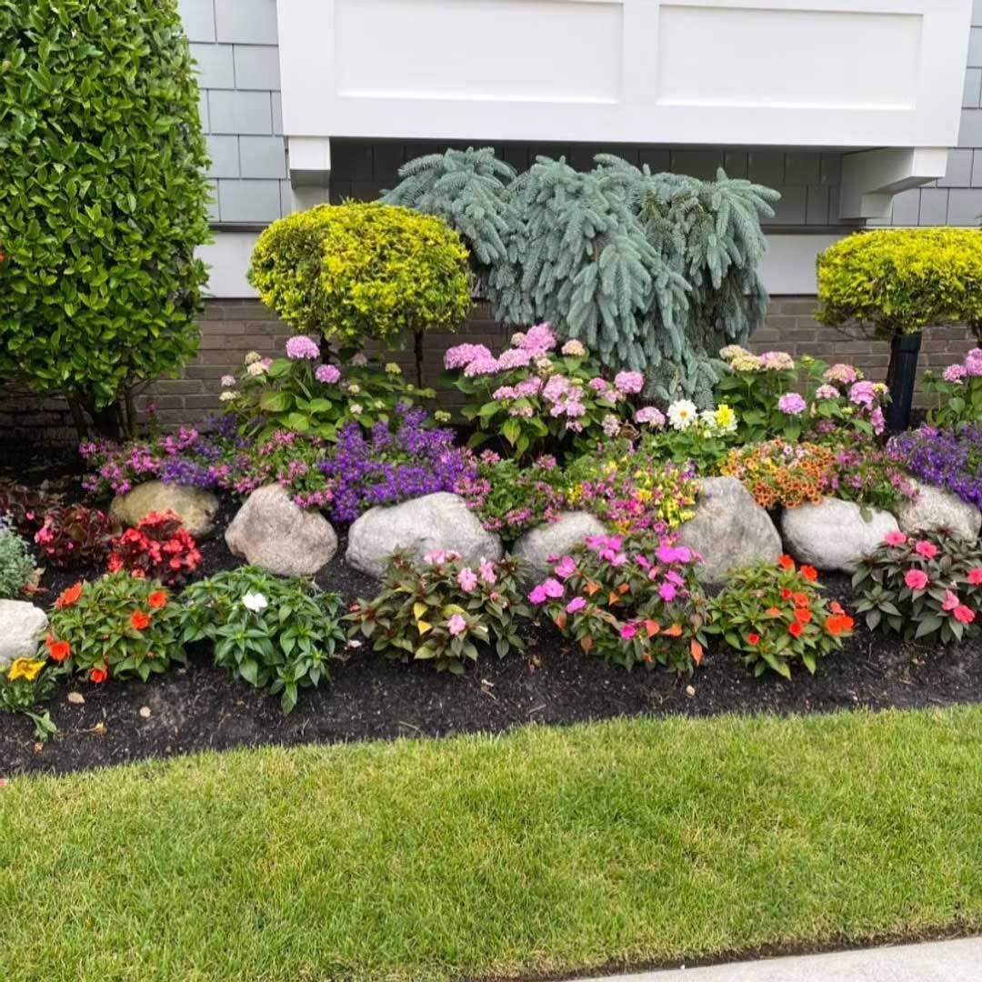 Flower bed with diverse plants and colorful blooms, rocks, and green lawn.