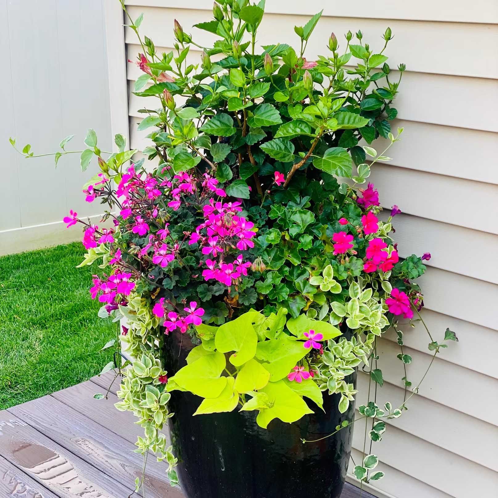 Black planter overflowing with colorful flowers and foliage on a wooden deck next to a light-colored wall.