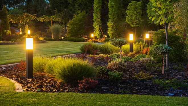 Lush garden at night illuminated by pathway lights. Dark green shrubs and trimmed trees line the lawn.