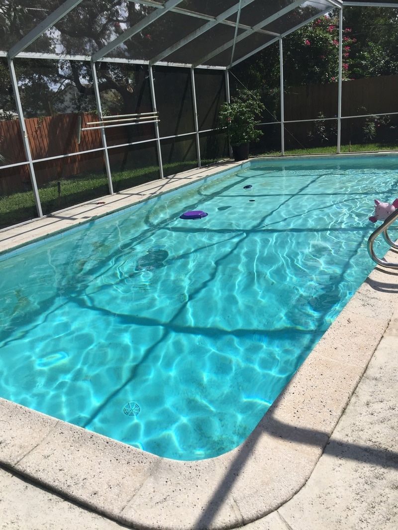 An outdoor swimming pool with bright blue water enclosed by a screened lanai structure.
