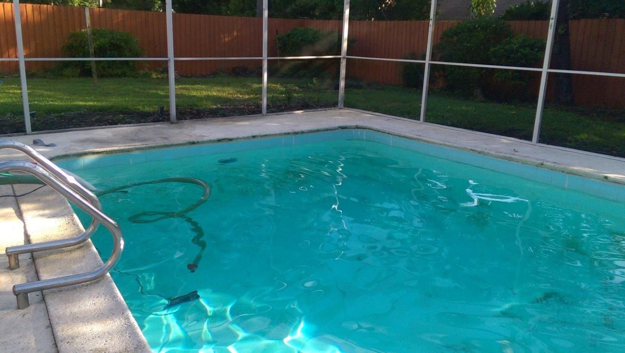 An outdoor rectangular pool enclosed by a screen, featuring a metal ladder and a pool vacuum hose submerged in clear water.