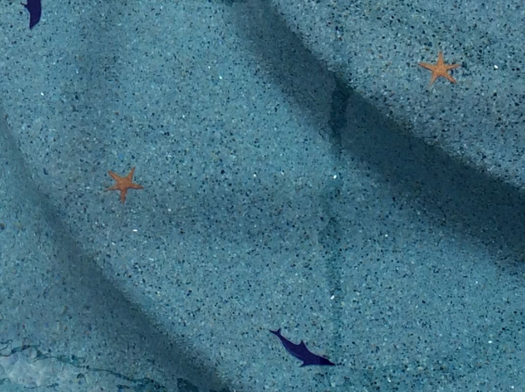 Pool floor with blue speckled tile featuring embedded, dark blue dolphin silhouettes and orange starfish accents.