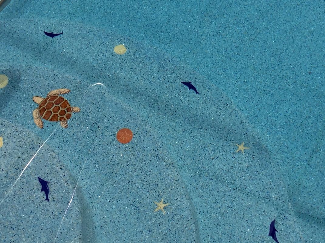A blue pool floor with decorative mosaic inlays of a turtle, small fish, seashells, and starfish.