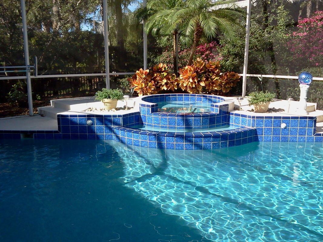 A blue-tiled swimming pool and raised hot tub enclosed in a screened lanai with tropical plants in the background.