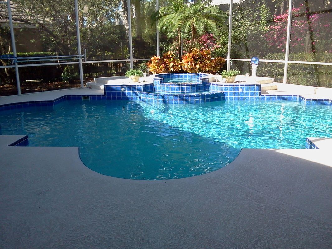 A backyard swimming pool with a raised hot tub, blue tiled edges, and a screen enclosure, set against lush greenery.