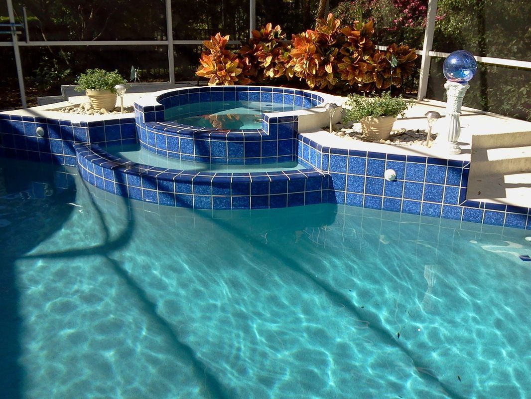 A swimming pool with a raised, blue-tiled spa spilling into the main pool, surrounded by potted plants and a screen cage.