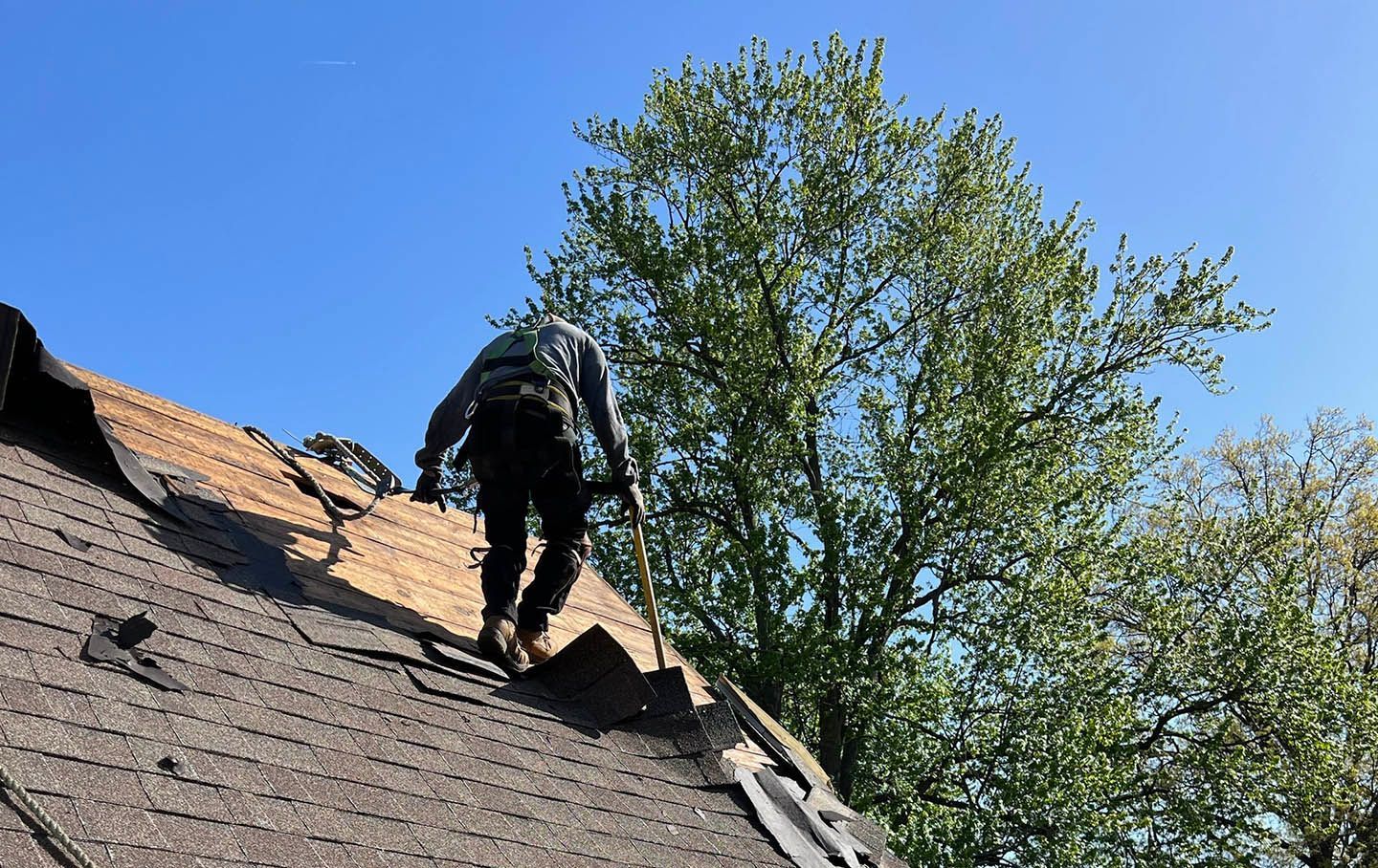 Person repairing roof shingles beside a tree under a clear blue sky