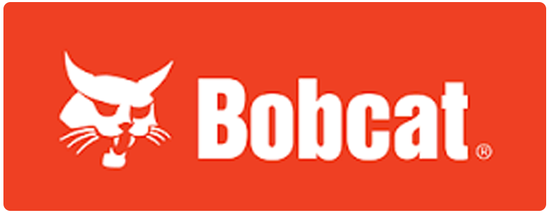 Bobcat
