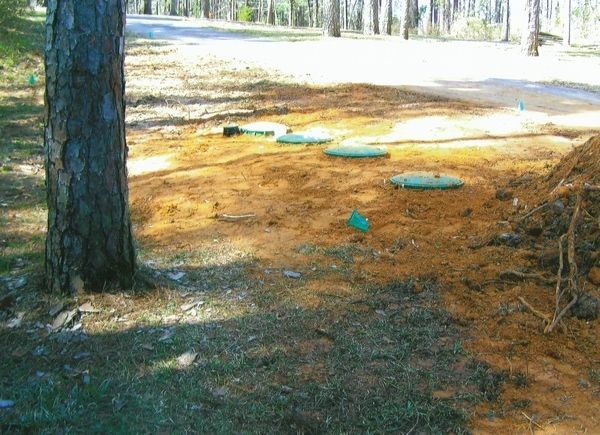 A tree stands in the middle of a dirt field next to a road.