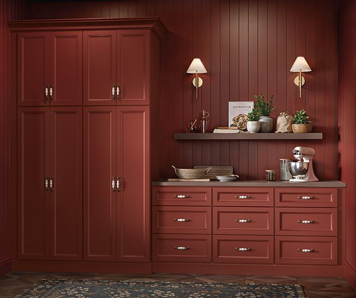 Red kitchen cabinets with matching walls. Shelf with plants, mixer, and drawers.