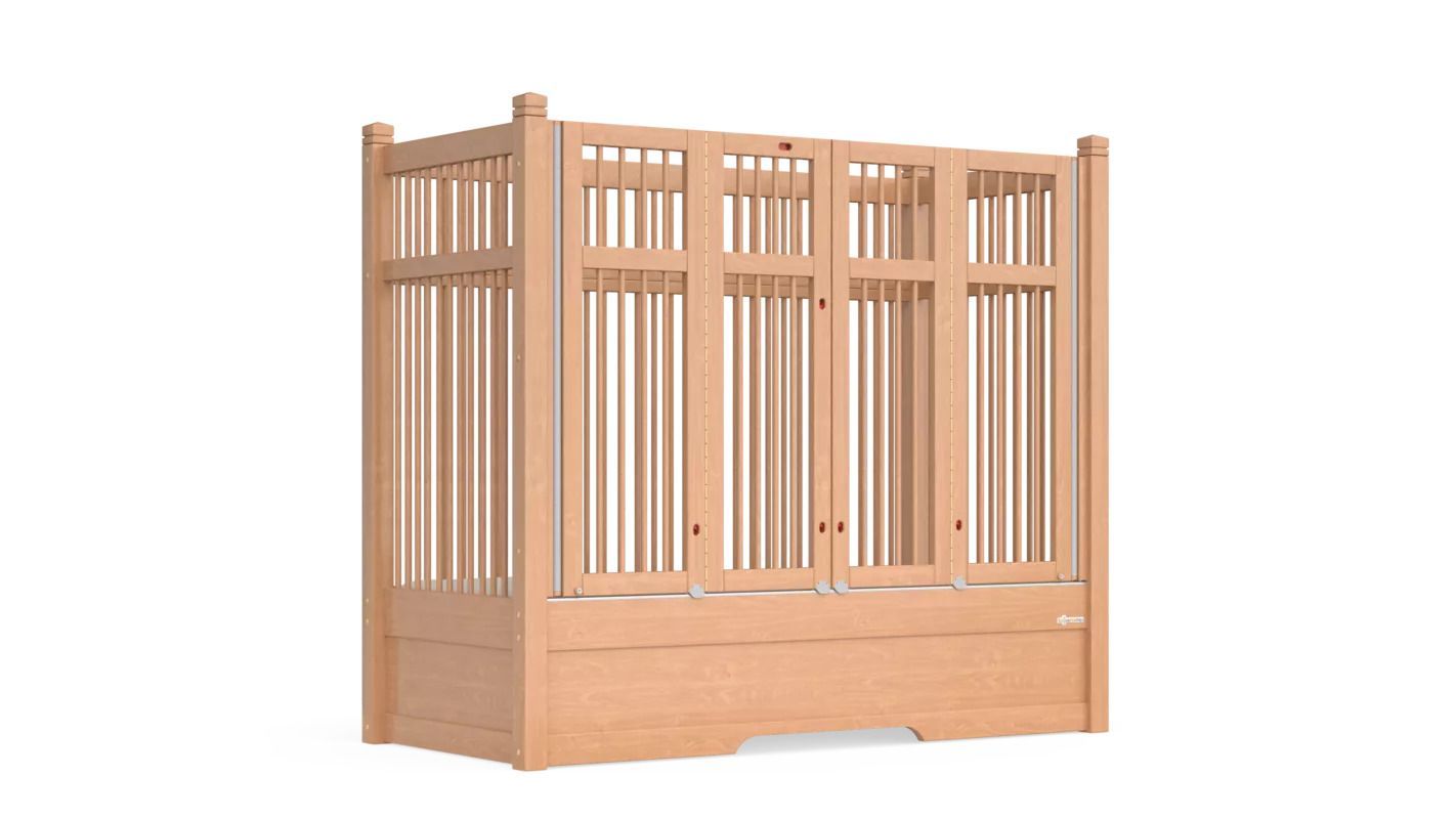 Beds for Medical & Physical Needs