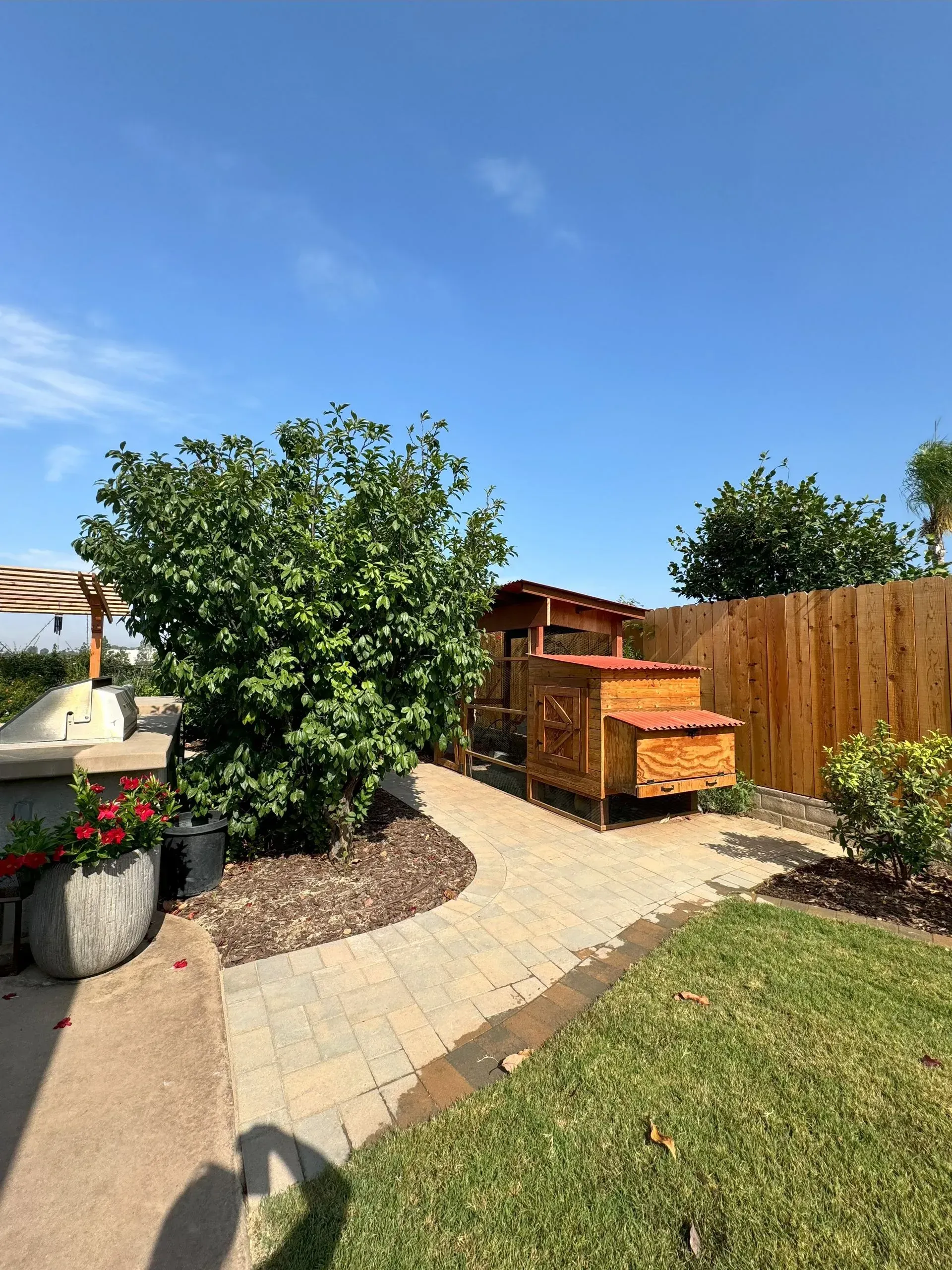A pathway leads to a wooden chicken coop in a yard. Sunny day, blue sky.