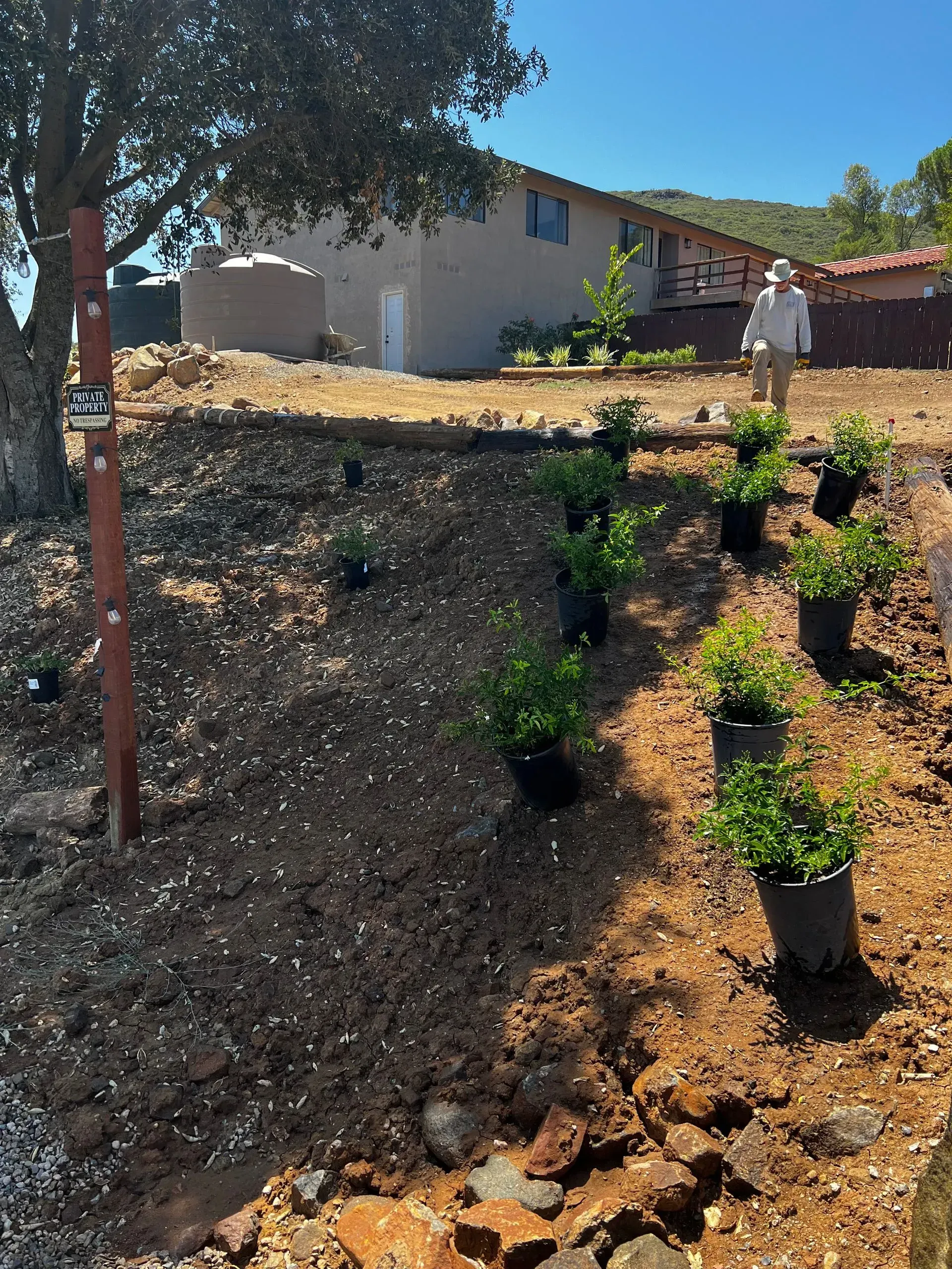 Person in hat and greenery in black pots on sloped brown dirt, house in background.