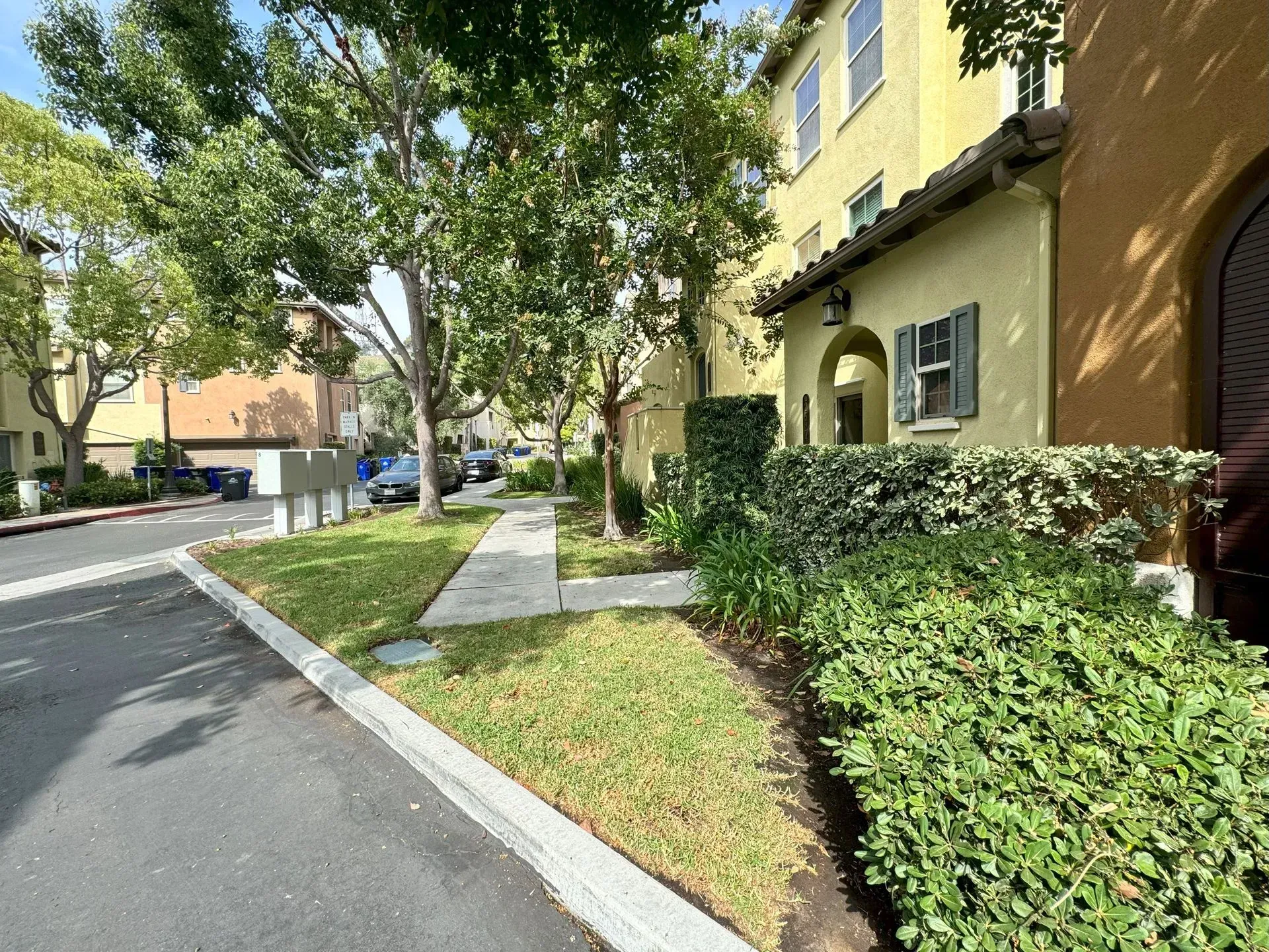 Street view with sidewalk, grass, trees, and yellow townhouses with green bushes.