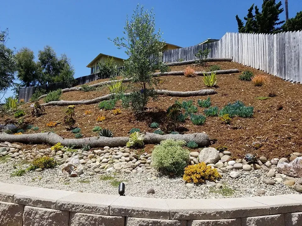 Terraced hillside garden with various plants, wood chips, and a retaining wall under a blue sky.