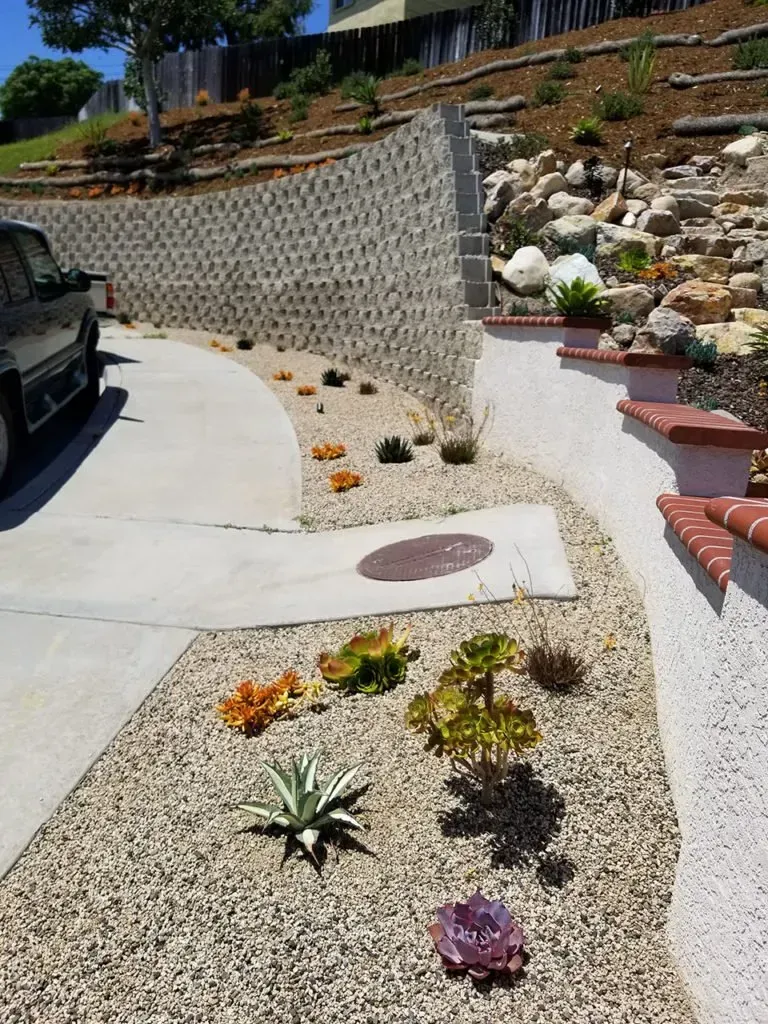 Driveway with retaining wall, landscaping, and succulents.