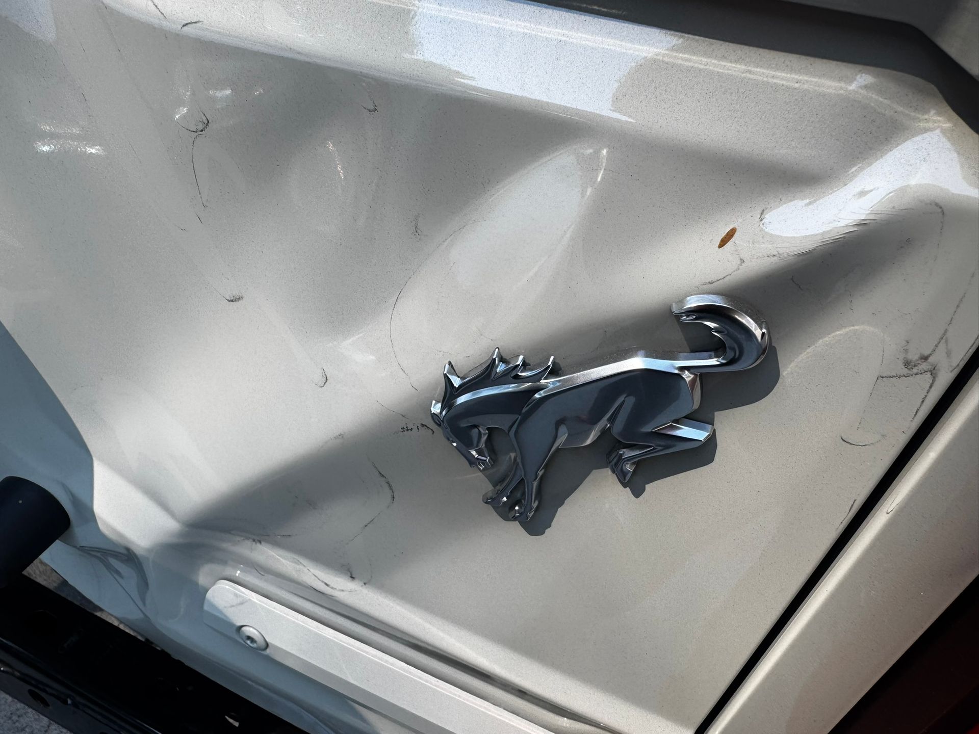 Silver Mustang emblem on a light-colored car body with scratches and dents.