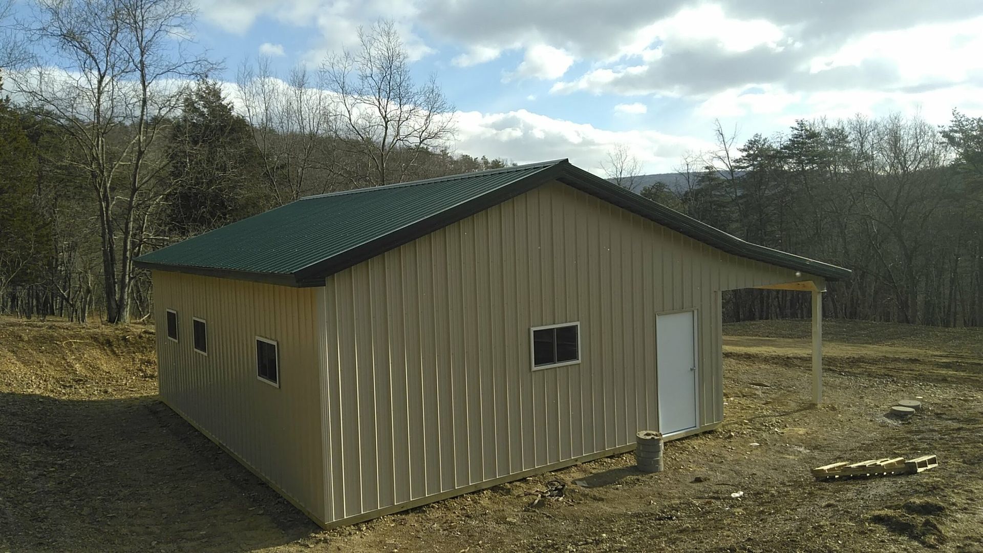 Tan metal-sided shed with green roof in a wooded rural clearing, with a white door and small windows