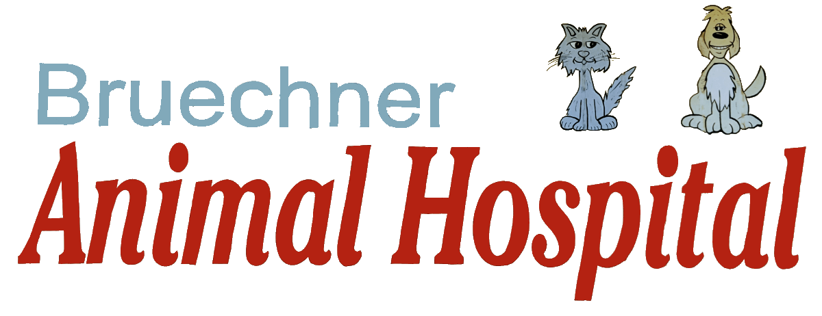 Bruechner Animal Hospital - Logo