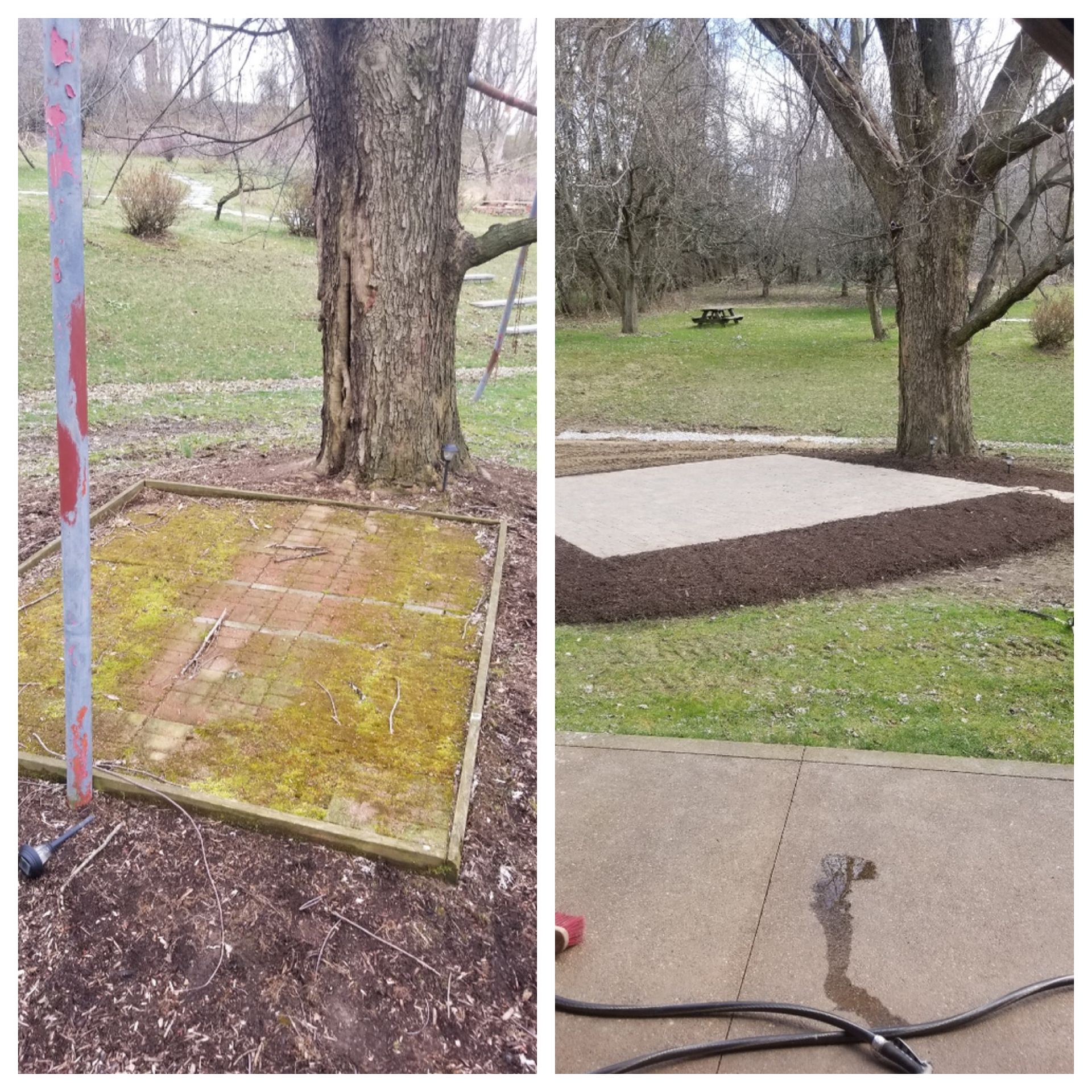 Left: Mossy square with tree and pole. Right: New bark around tree, concrete patio.