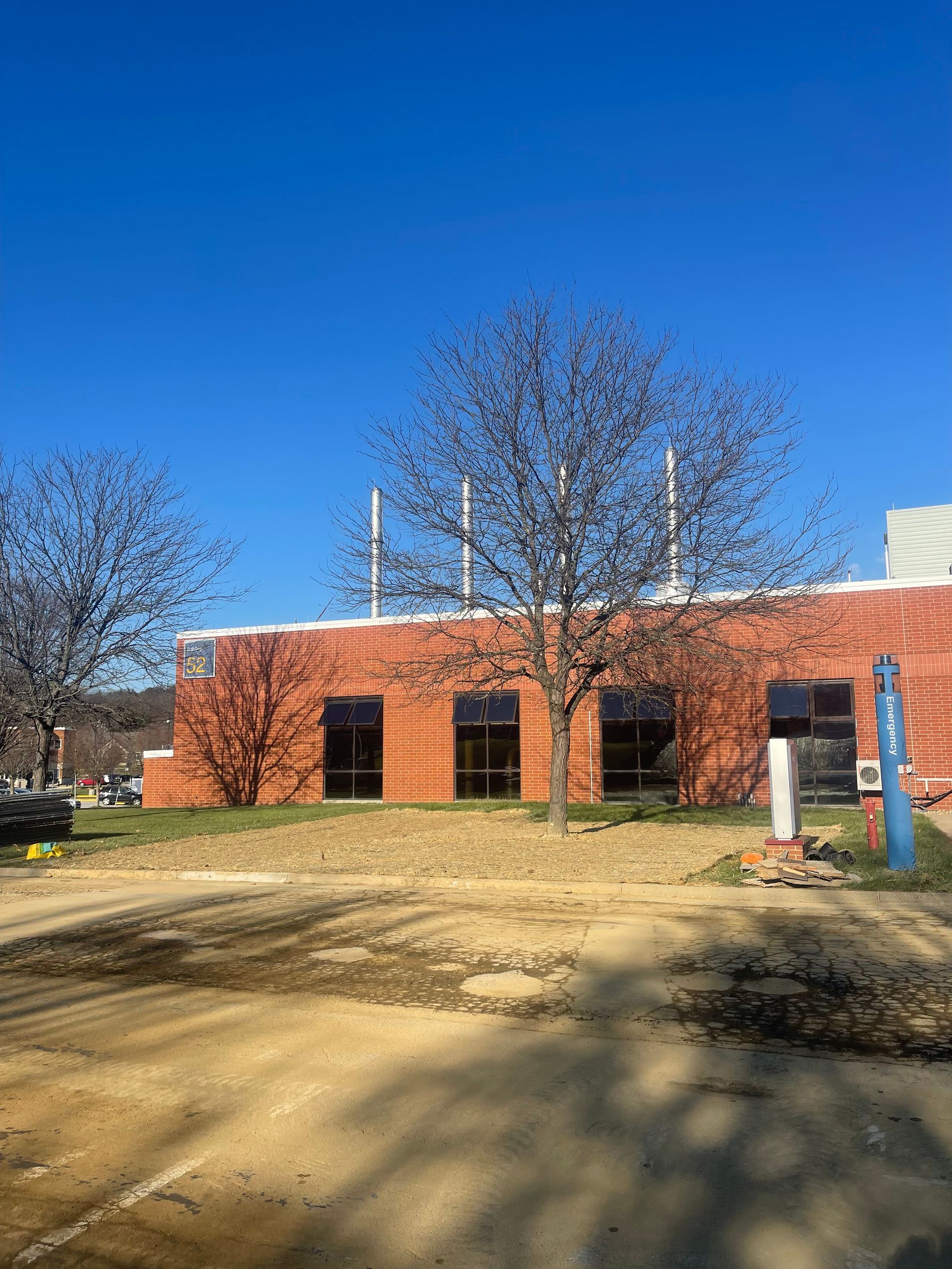 Red brick building with dark windows under a clear blue sky. A bare tree is centered.