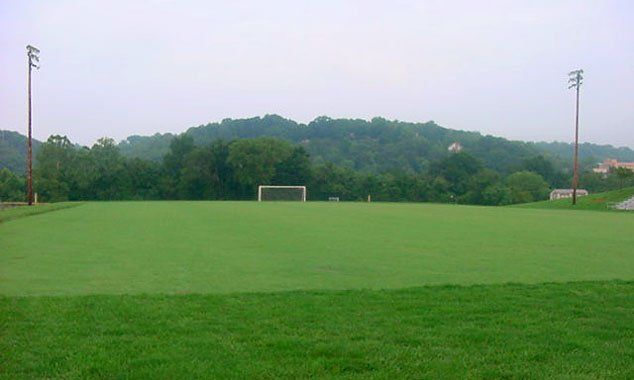 Soccer Field; Quickstand Bermuda