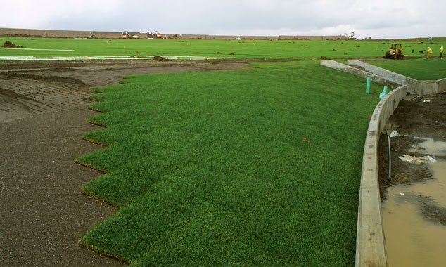 Convention Center; RTF Sod