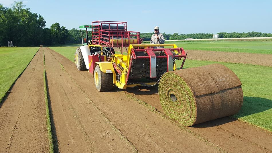 Sod Installation