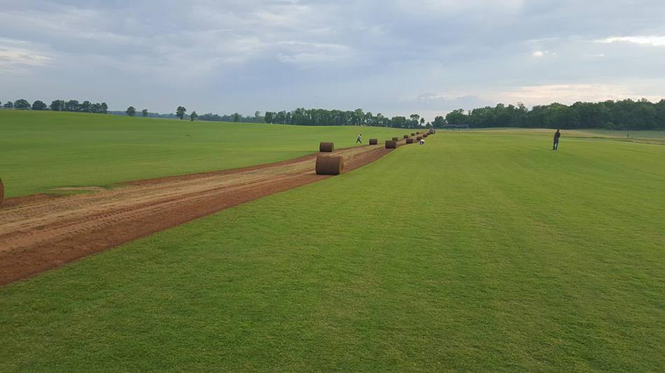 Sod Installation