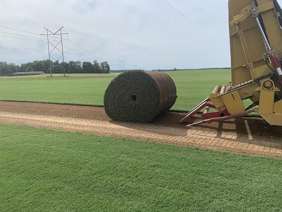 Sod Installation