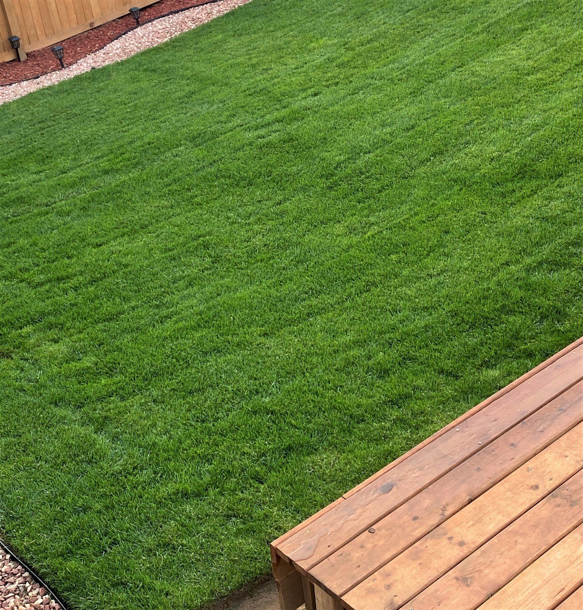 Residential sod