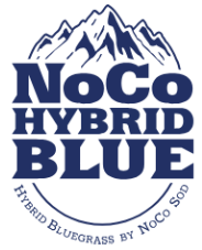 NoCo Hybrid Blue Logo